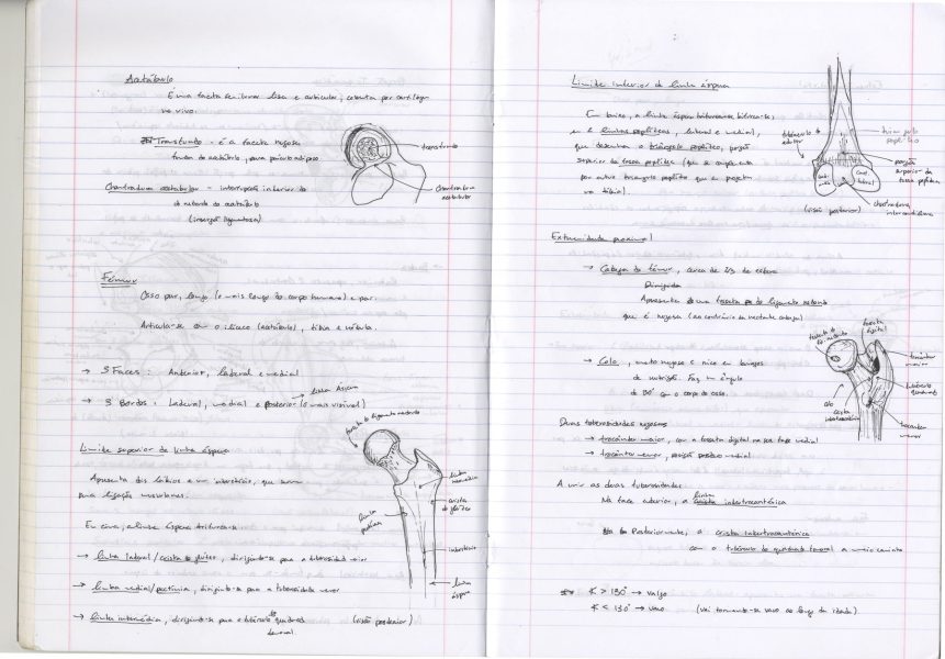 Caderno_TA_Anatomia_05 - cópia-min