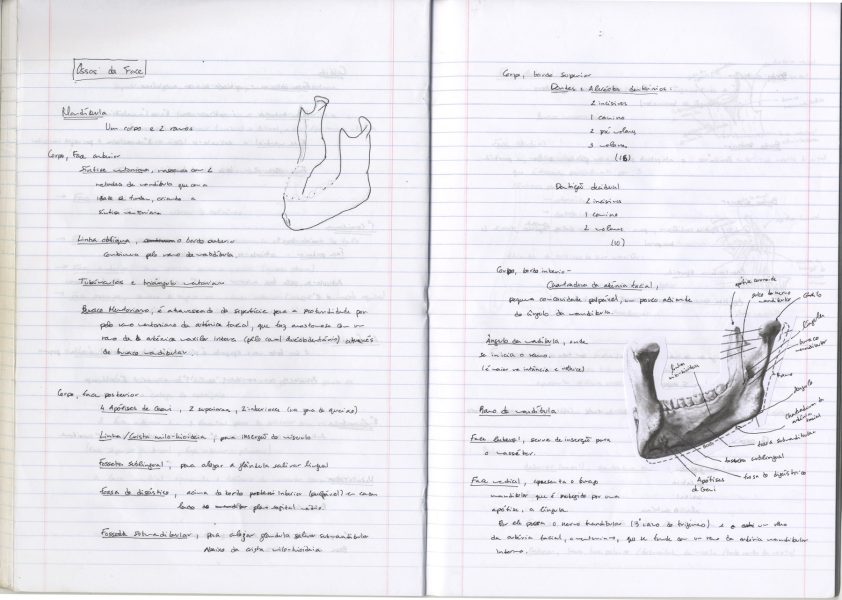 Caderno_TA_Anatomia_06 - cópia-min