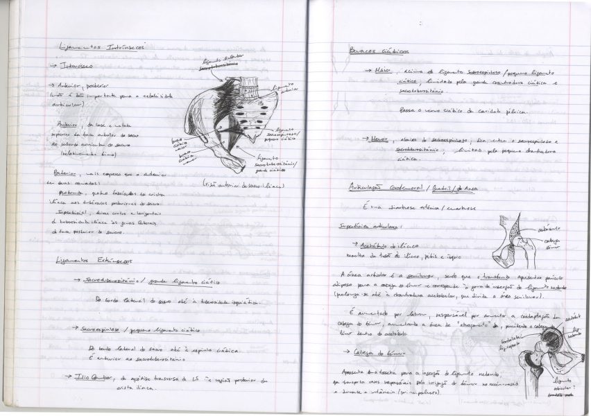 Caderno_TA_Anatomia_08 - cópia-min