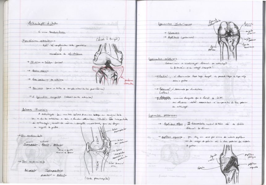 Caderno_TA_Anatomia_10 - cópia-min