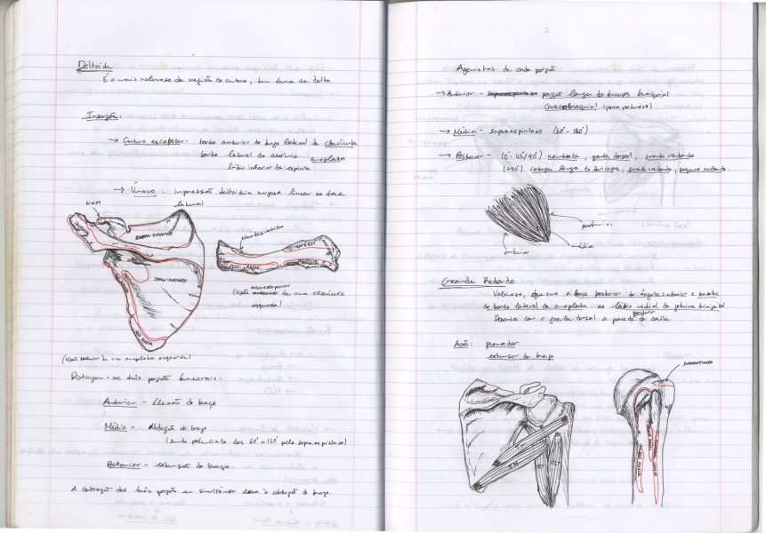 Caderno_TA_Anatomia_13 - cópia-min