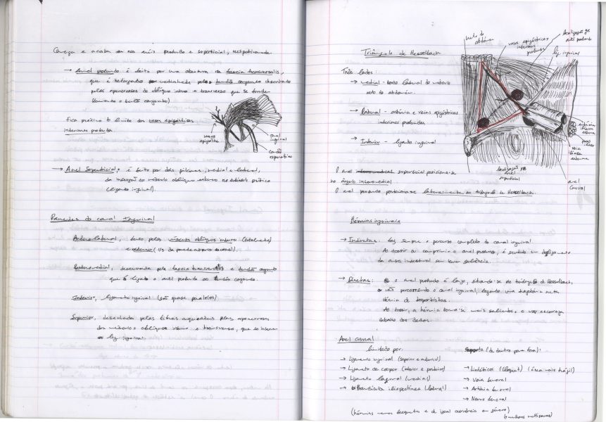 Caderno_TA_Anatomia_14 - cópia-min